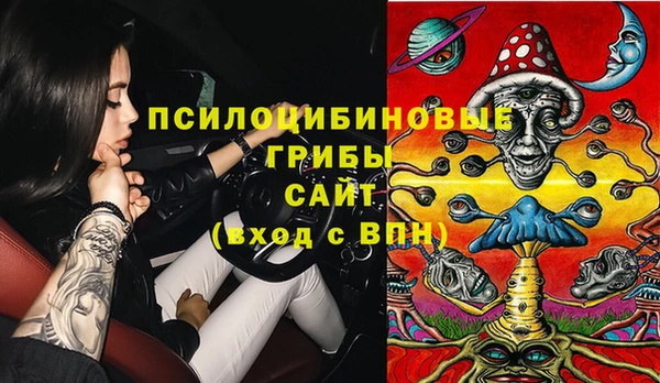 спиды Белокуриха