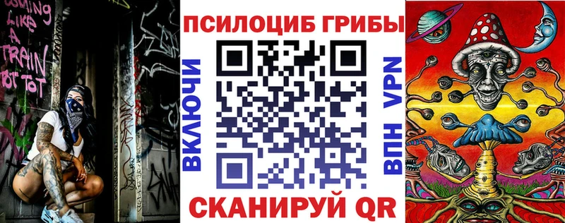 Псилоцибиновые грибы мицелий где продают kraken ТОР Брянск